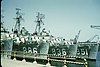 rutis_005.jpg